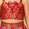 Red & Pink Banarasi Lehenga