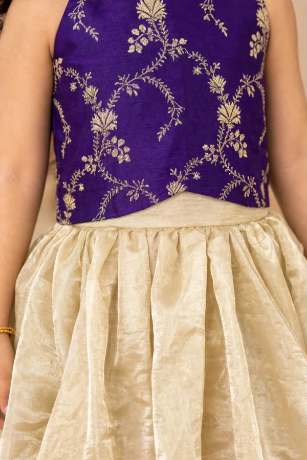 Purple Banarasi Brocade and Champagne Gold Tissue Skirt